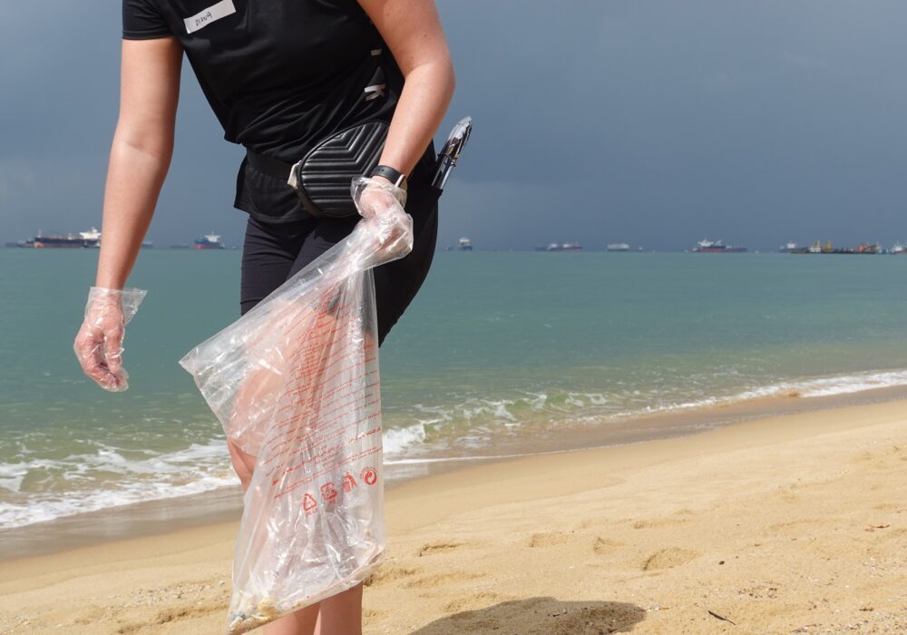 beach clean up