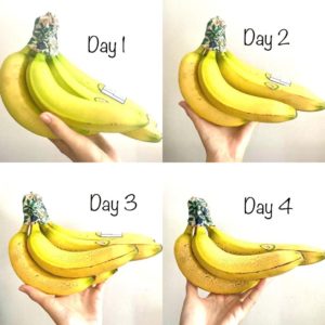 beeswax wraps preserving banana