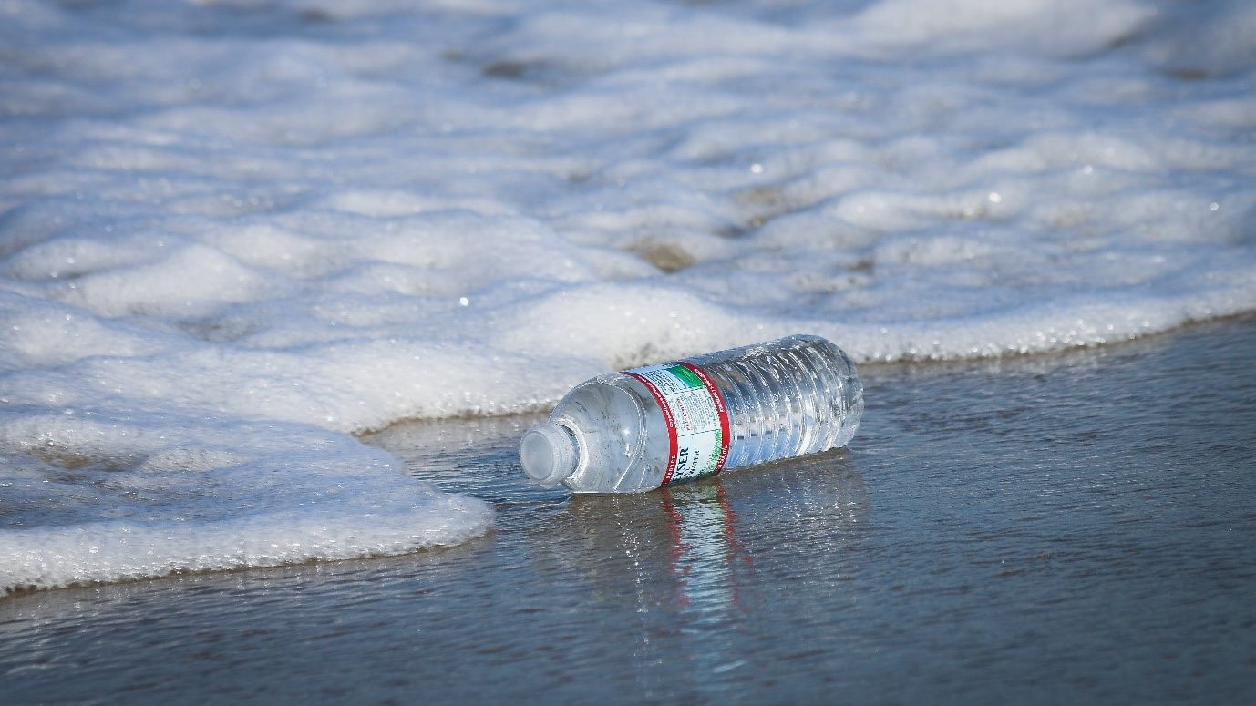 beach clean up