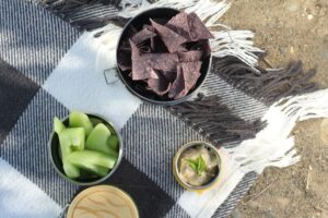 eco-friendly picnics