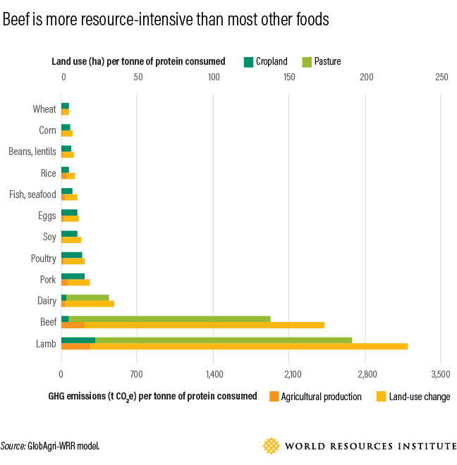 land use and emissions of food