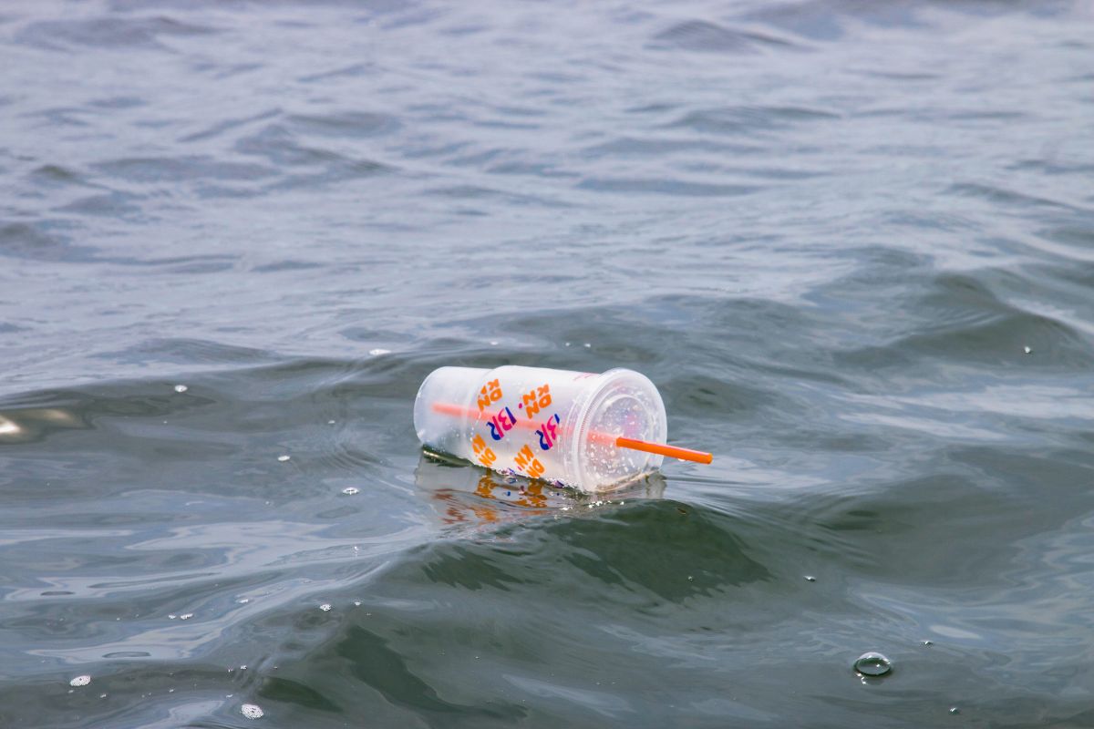 Single use cup floating in ocean