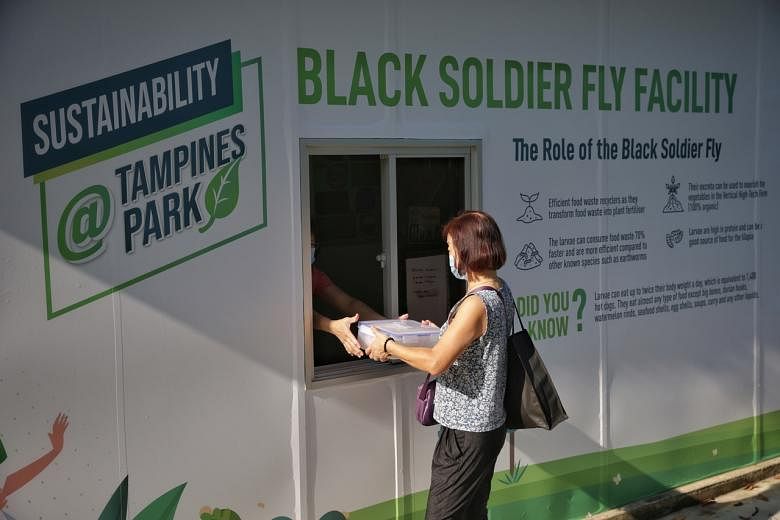 black soldier fly facility at the Sustainability@Tampines Park